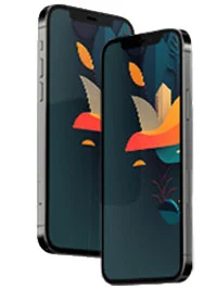 iphone pro 12 illy